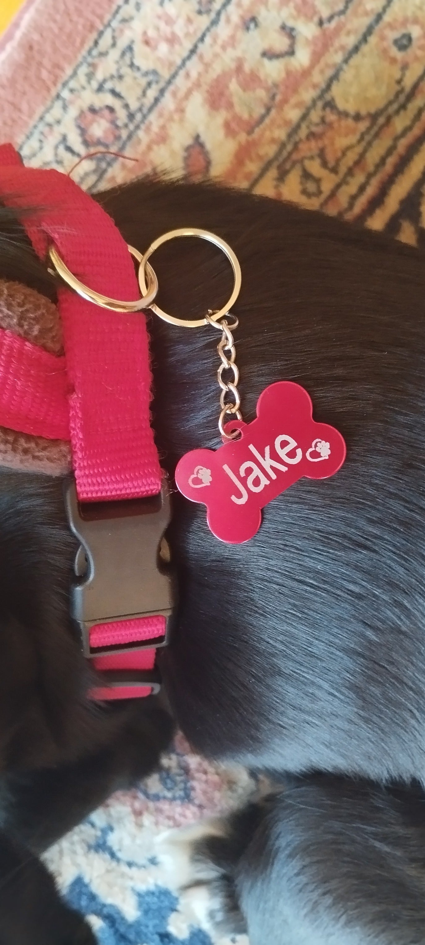 PLACA IDENTIFICADORA PARA ANIMAIS